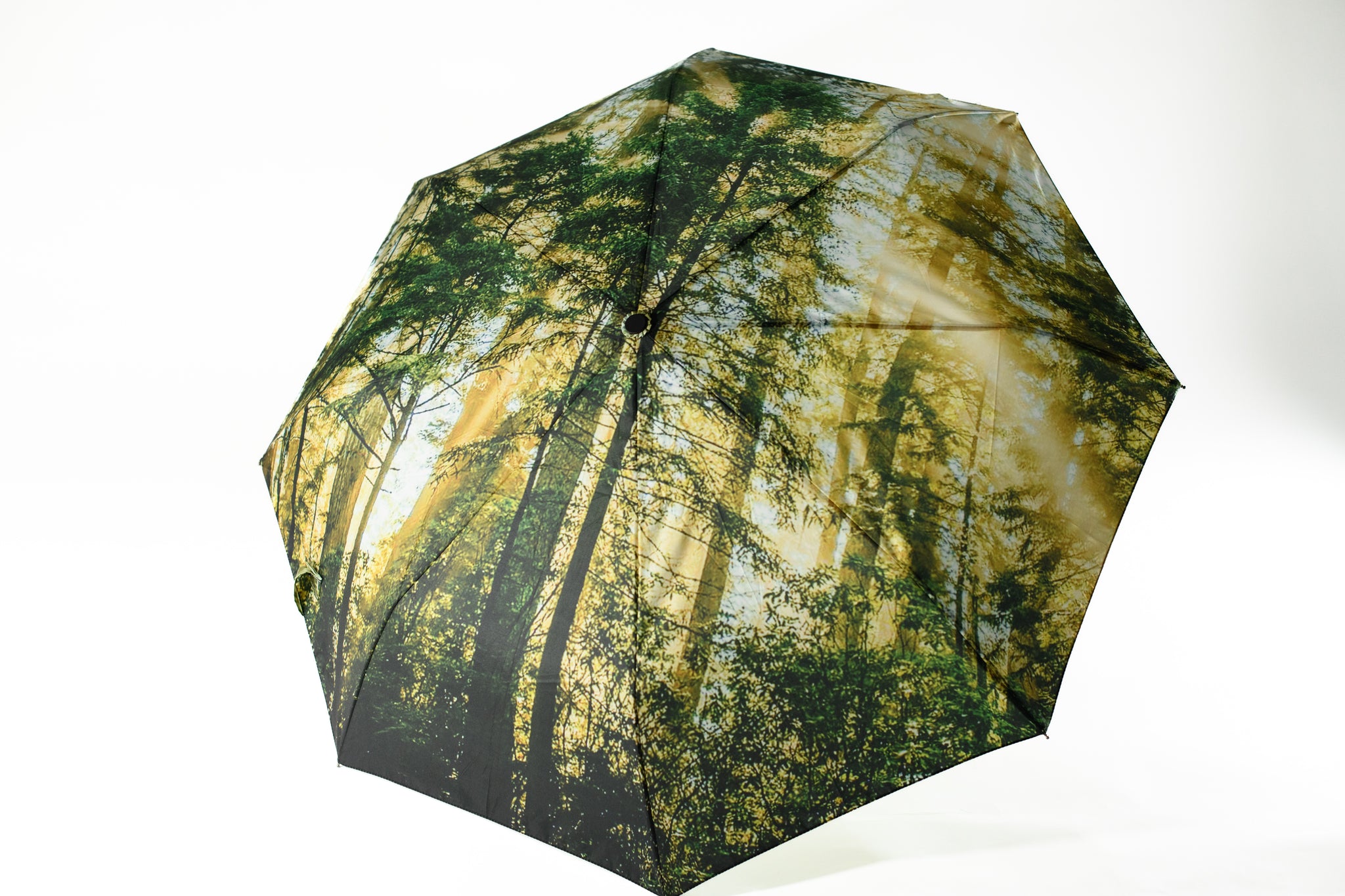 Redwoods Umbrella (New!)