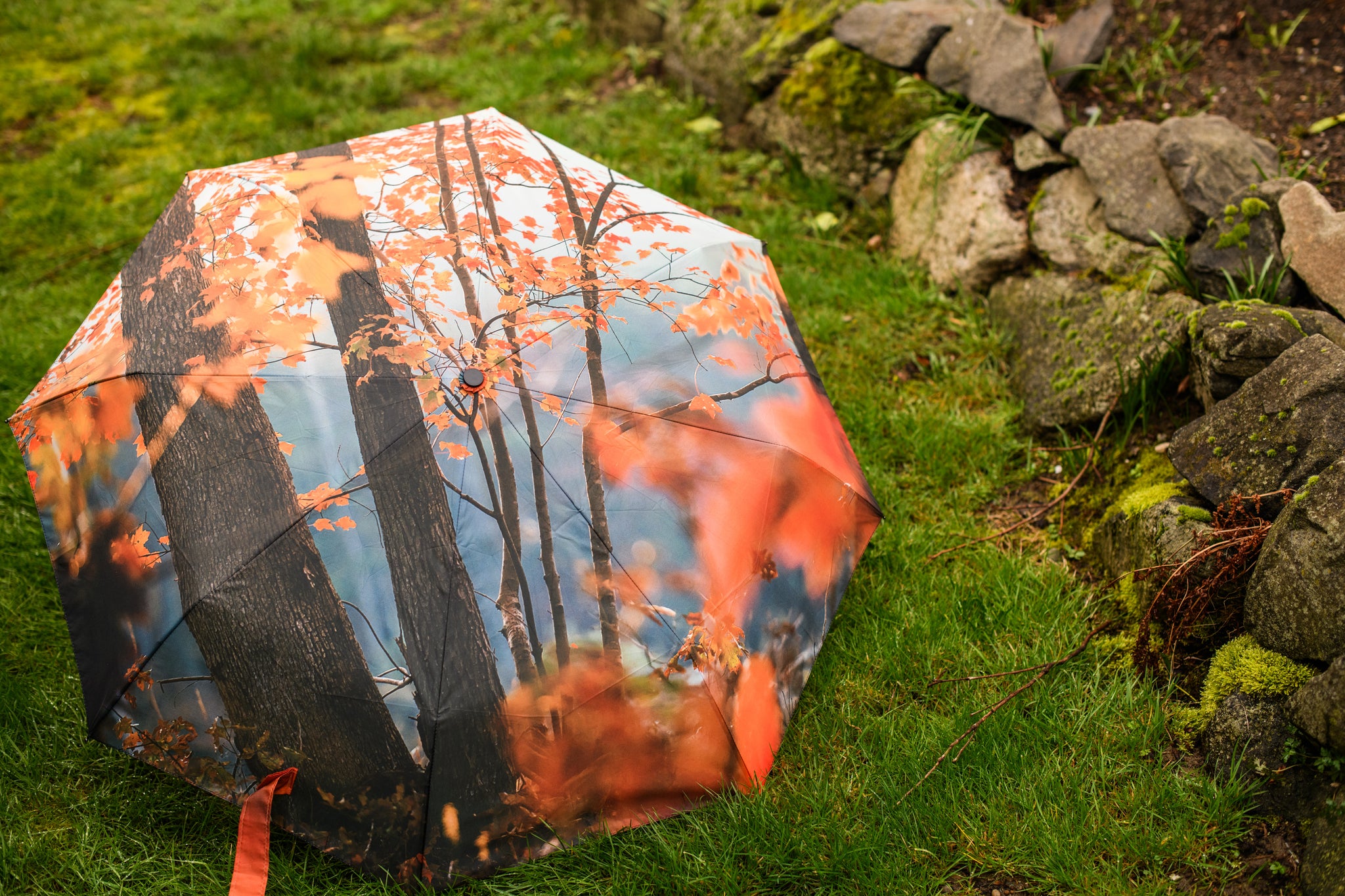 Fall Leaves Umbrella (New Handle!)