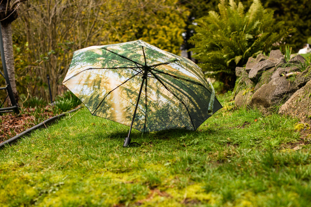 Redwoods Umbrella (New!)