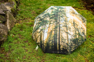 Redwoods Umbrella (New!)