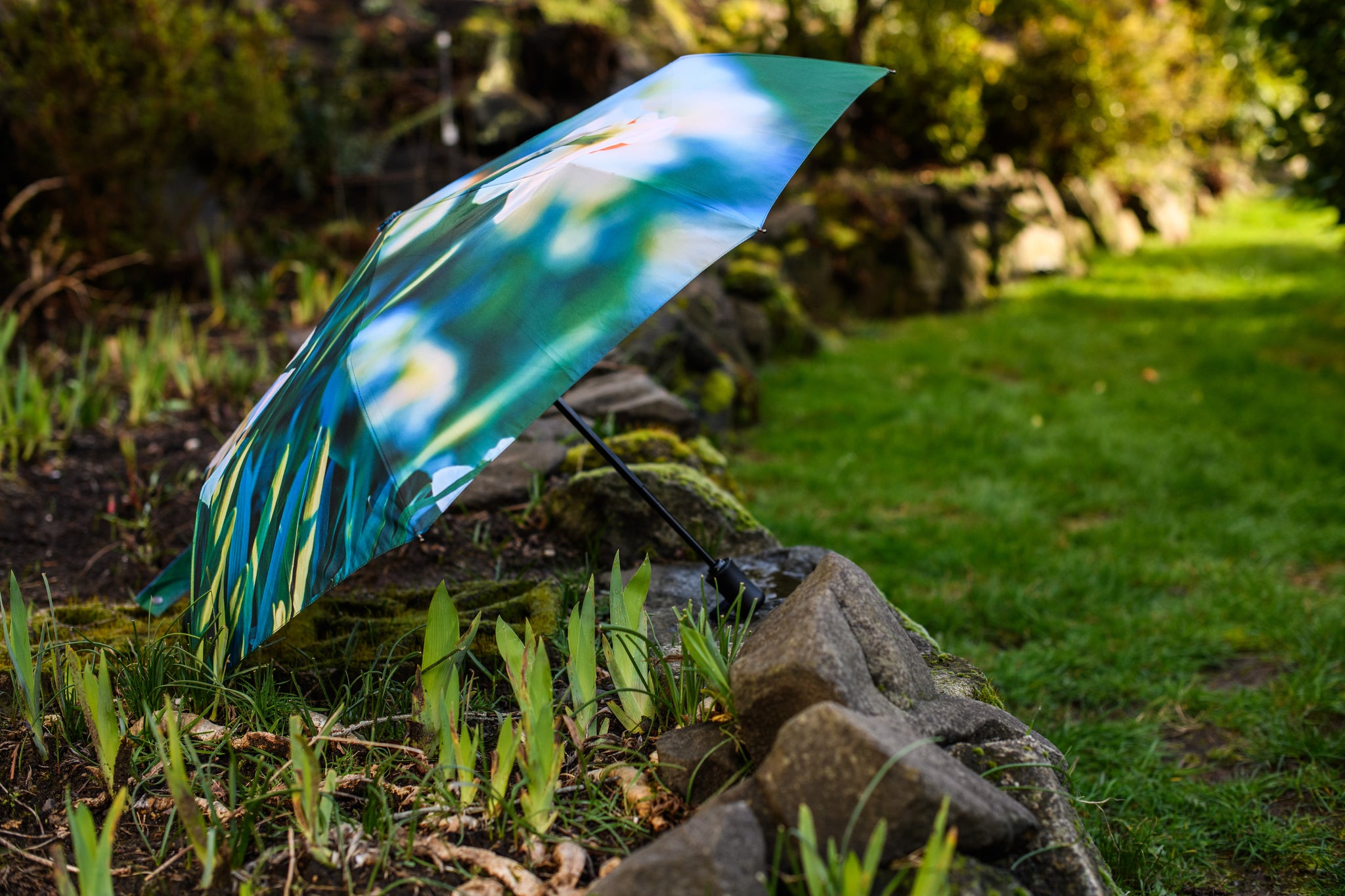 Daffodil Umbrella (New!)