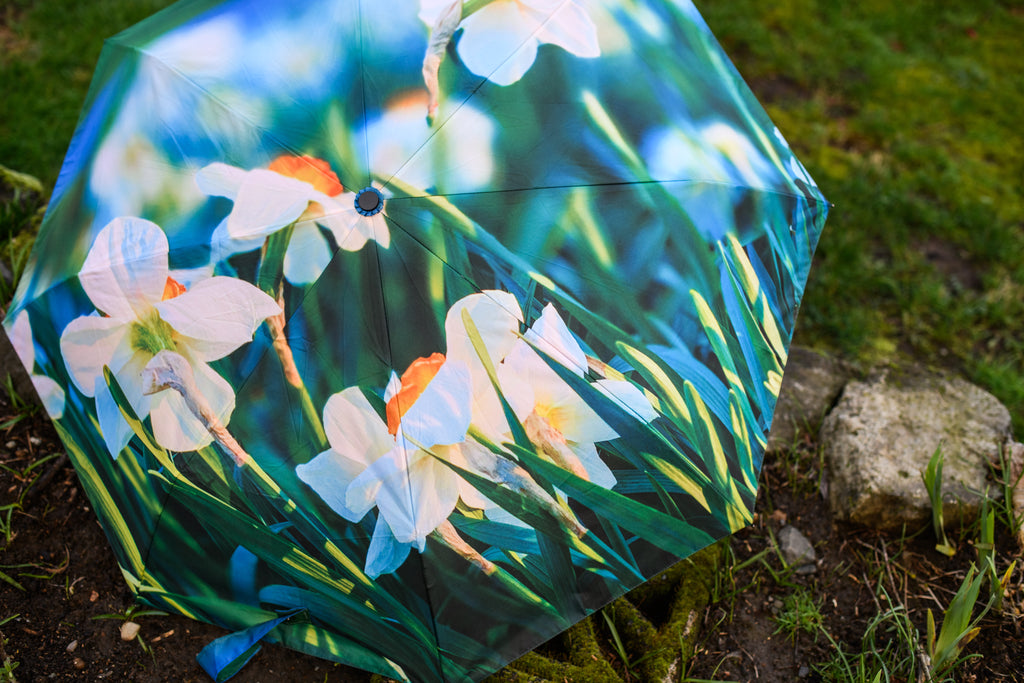 Daffodil Umbrella (New!)