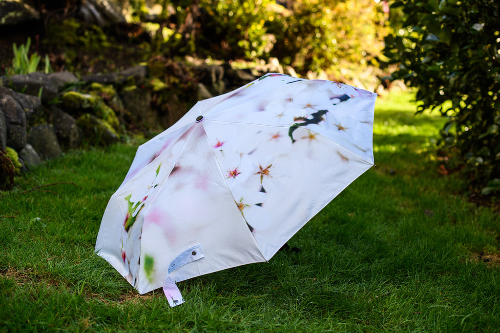 Cherry Blossom Umbrella (New Handle!)