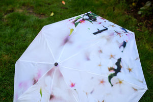 Cherry Blossom Umbrella (New Handle!)