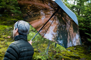 Redwoods Umbrella