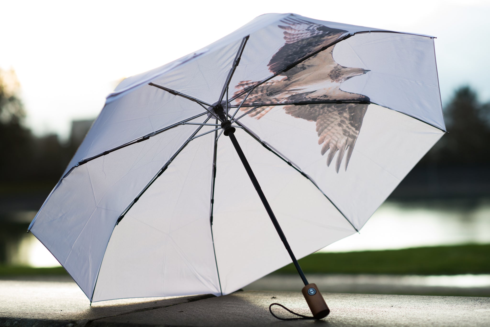 Osprey Umbrella