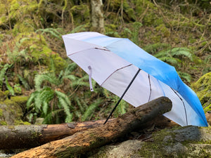 Water and Sky Umbrella
